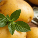 UK Potato Market Under Pressure: Low Prices, Dry Weather, and Regional Yield Disparitie