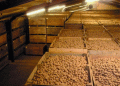 Protecting the Future of UK Potato Storage: Why Your CIPC Residue Data Matters