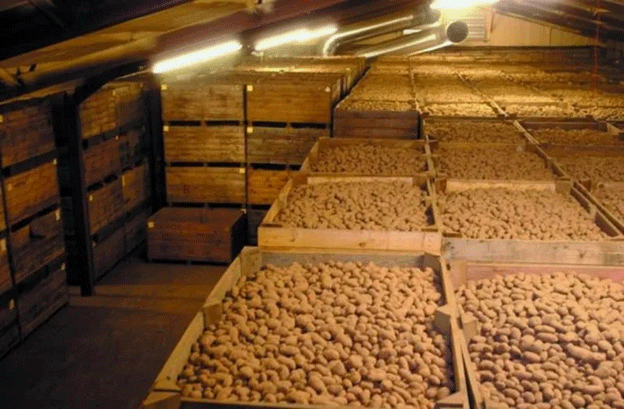 Protecting the Future of UK Potato Storage: Why Your CIPC Residue Data Matters