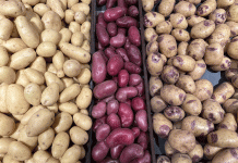 La paradoja de la patata ecológica francesa: una oferta récord se enfrenta a una demanda frágil