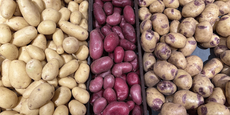The French Organic Potato Paradox: Record Supply Meets Fragile Demand 1 #image_title
