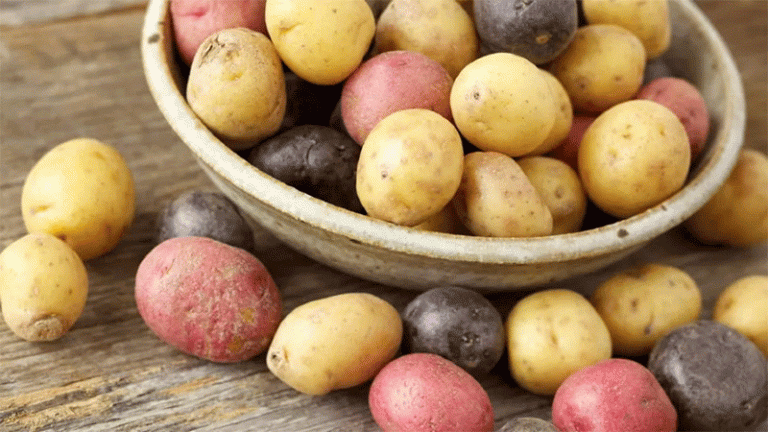 The Creamer Revolution: How Precision Agronomy and Targeted Genetics Built a Billion-Dollar Potato Niche 33 The Creamer Revolution: How Precision Agronomy and Targeted Genetics Built a Billion-Dollar Potato Niche