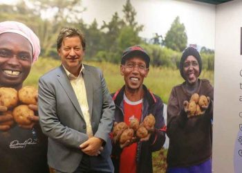 Royal HZPC Group: “We Will Have Diploid Varieties on the Market Within Ten Years”