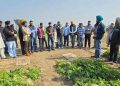 Beyond the Seed Show: Why Early-Generation Potatoes and Precision Intelligence Are Reshaping Indian Agriculture