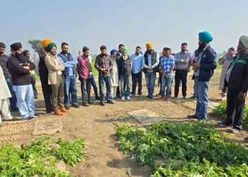 Beyond the Seed Show: Why Early-Generation Potatoes and Precision Intelligence Are Reshaping Indian Agriculture