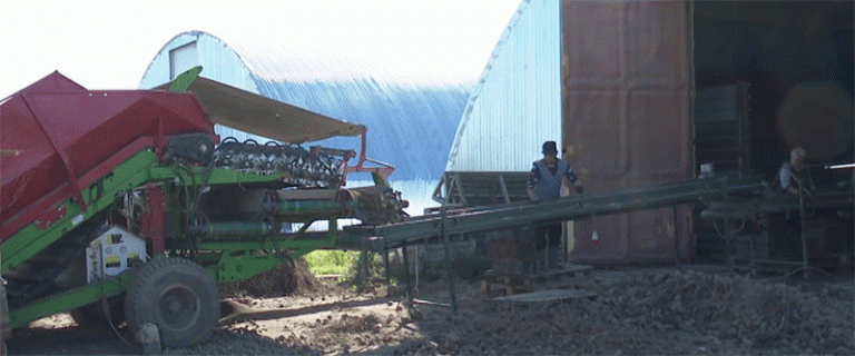 The Russian Potato Powerhouse: How Investment, Scale, and Yield are Driving Growth in Melelenkovsky District