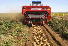 The Race Against Rain: A Look Inside Aktobe’s High-Stakes Harvest