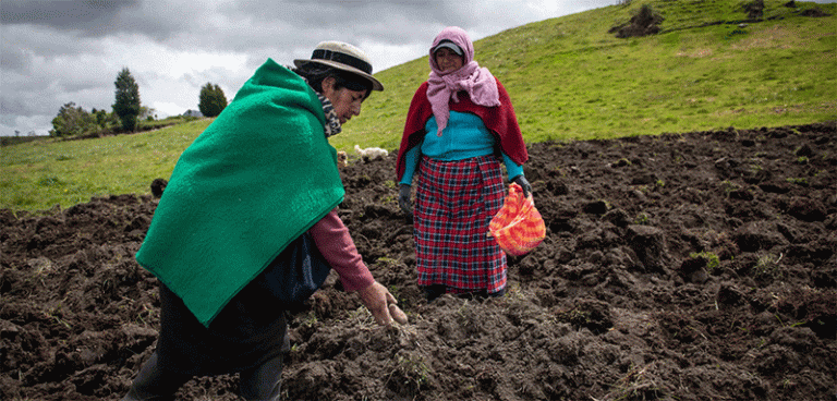 Guardians of the Tuber: How Andean Women Are Reviving Agro-Biodiversity in a Changing Climate 21 Guardians of the Tuber: How Andean Women Are Reviving Agro-Biodiversity in a Changing Climate