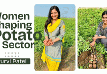 Más allá de la bata blanca: El plan de un fitopatólogo para el cultivo biológico de patatas