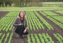 The Next Generation Spud: How Crop 78 is Redefining Efficiency and Profitability in Processing Potatoes