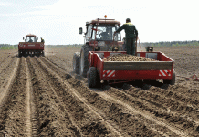 El poder de la patata: com els agricultors belgues desafien la disminució del terreny agrícola amb l'expansió estratègica de la patata
