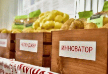 Od nasion do smażenia: jak Rosja buduje krajowy przemysł frytkowy od podstaw