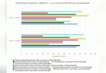 Más allá de la clasificación regional: Lo que la cosecha de patatas de Kaliningrado revela sobre la resiliencia de la agricultura moderna