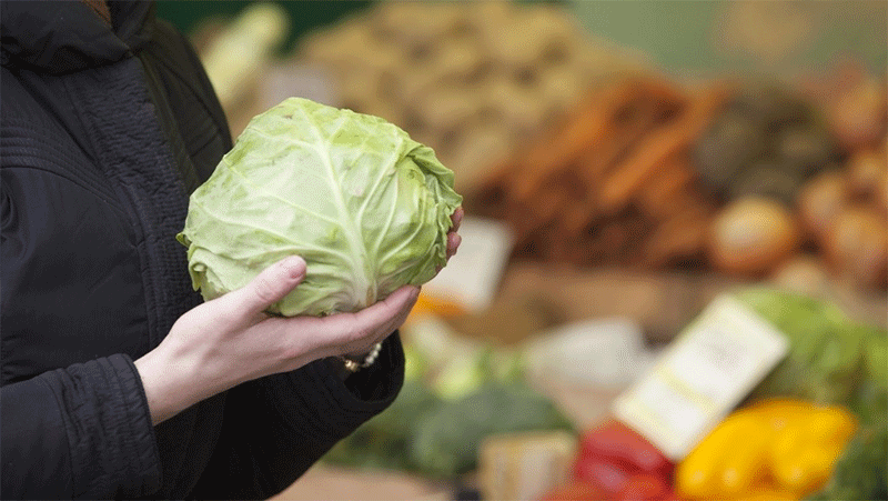 The Post-Harvest Equation: How Moscow Region’s Storage Mastery Turns Yield into Year-Round Supply