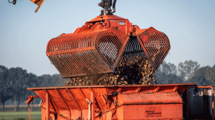 From Record Yield to Market Squeeze: The 2024 European Potato Starch Paradox