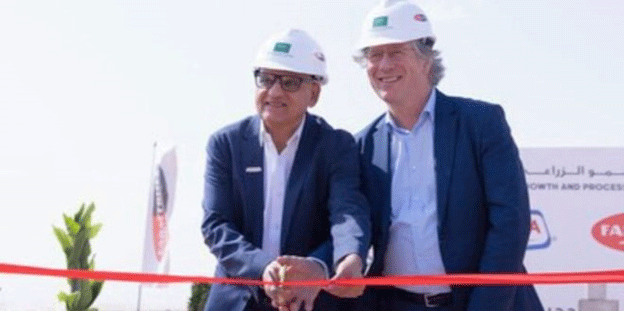 Americana et Farm Frites investissent 100 millions de dollars dans la plus grande usine de frites surgelées d'Arabie saoudite