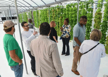 From the Delta to the Stack: Why Arkansas is Betting on Vertical Potatoes & Rice