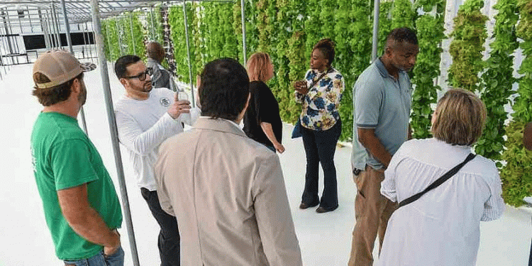 From the Delta to the Stack: Why Arkansas is Betting on Vertical Potatoes & Rice