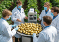 Agrivoltaics and Potato Farming: How Partial Shading and Smart Irrigation Boost Yield and Sustainability