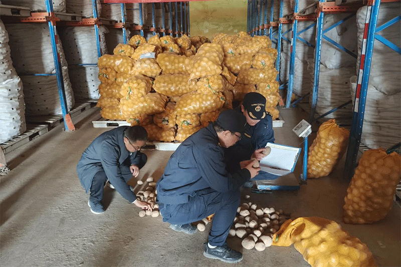 Beyond the Chip: How a New Chinese Potato Variety Signals a Shift in Global Agri-Trade
