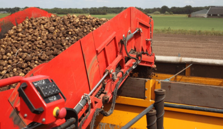 Oltre il premio: garantire il futuro della produzione di patate biologiche attraverso l'innovazione della catena di fornitura