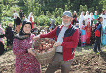 От президентских полей до горных вершин: исследование эффективности семенного картофеля в Дагестане