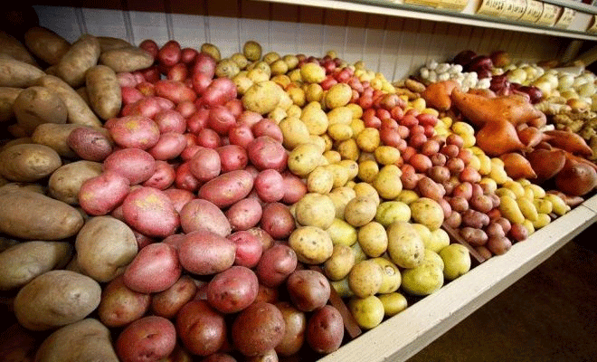 Beyond the Bulk Bin: Decoding Retail Potato Assortment for Strategic Grower Insights