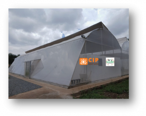 A Major Boost for Food Security in East Africa: CIP Unveils a Regional Potato Breeding Hub in Tigoni, Kenya
