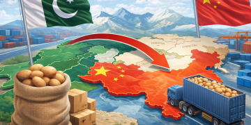Pakistan Considers China Route to Boost Potato Exports