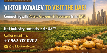 Viktor Kovalev to Visit the UAE to Meet Potato Industry Professionals