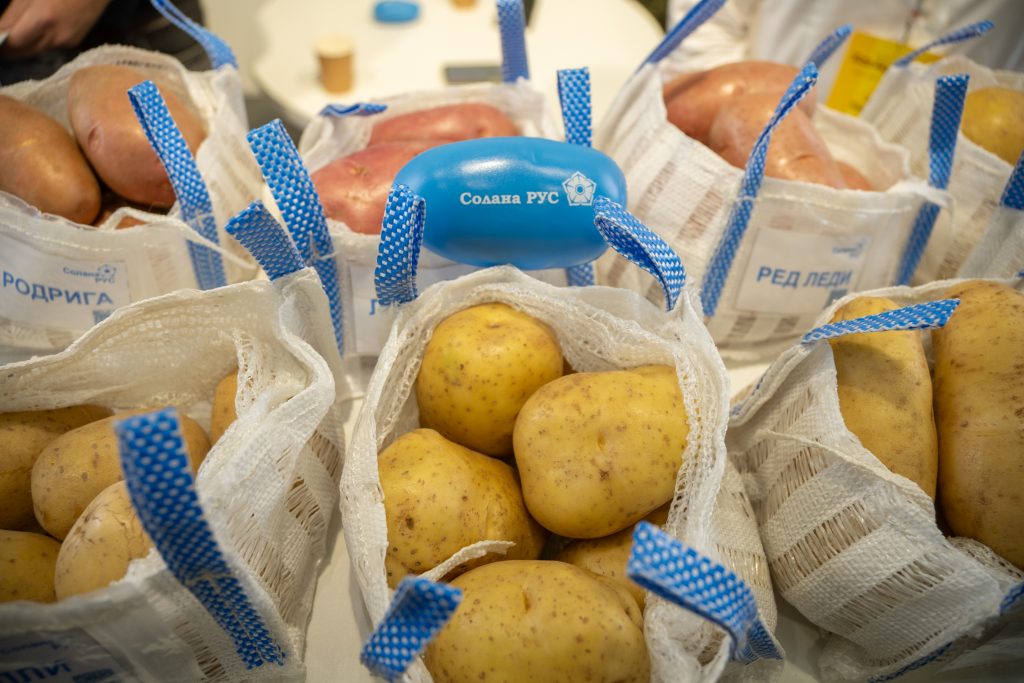 INTERNATIONAL POTATO TOUR AT KAZAGRO EXHIBITION:KAZAKHSTAN FOCUSES ON QUALITY, PROCESSING, AND EDUCATION