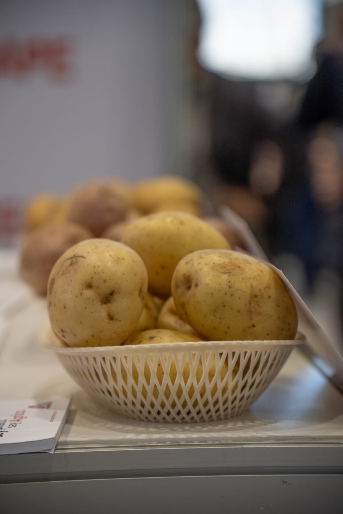 INTERNATIONAL POTATO TOUR AT KAZAGRO EXHIBITION:KAZAKHSTAN FOCUSES ON QUALITY, PROCESSING, AND EDUCATION