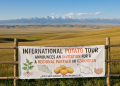 International Potato Tour Announces an Invitation for a Regional Partner in Kazakhstan