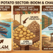 Egypt’s Potato Sector: Varieties, Technology, and Export Trends