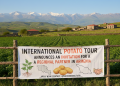International Potato Tour Announces an Invitation for a Regional Partner in Armenia