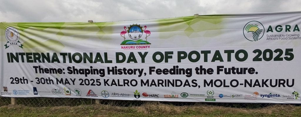 Celebrating the International Day of Potato 2025 in Nakuru County, Kenya: Shaping History, Feeding the Future 6 IMAGE 3 1