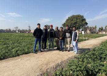 International Potato Tour in Pakistan: Innovation and Quality in Focus