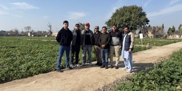 International Potato Tour in Pakistan: Innovation and Quality in Focus