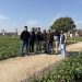 International Potato Tour in Pakistan: Innovation and Quality in Focus