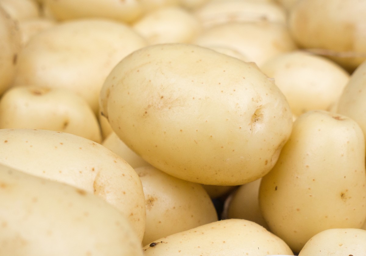 FPSA переходит в GB Potatoes Fresh Sector Consultation Group&nbsp;
