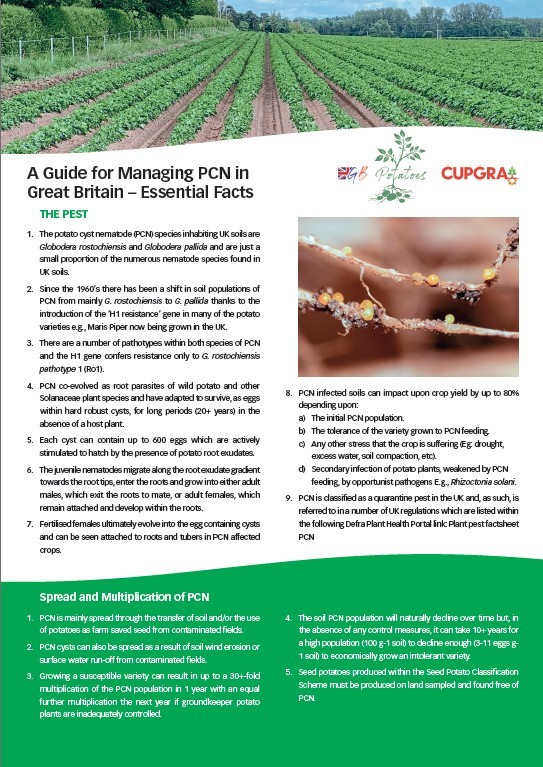 GB Potatoes i CUPRA udostępniły całej branży nową kartę informacyjną PCN.