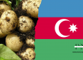Analytical Overview: Potato Production in Azerbaijan — Growth, Strategies, and Outlook