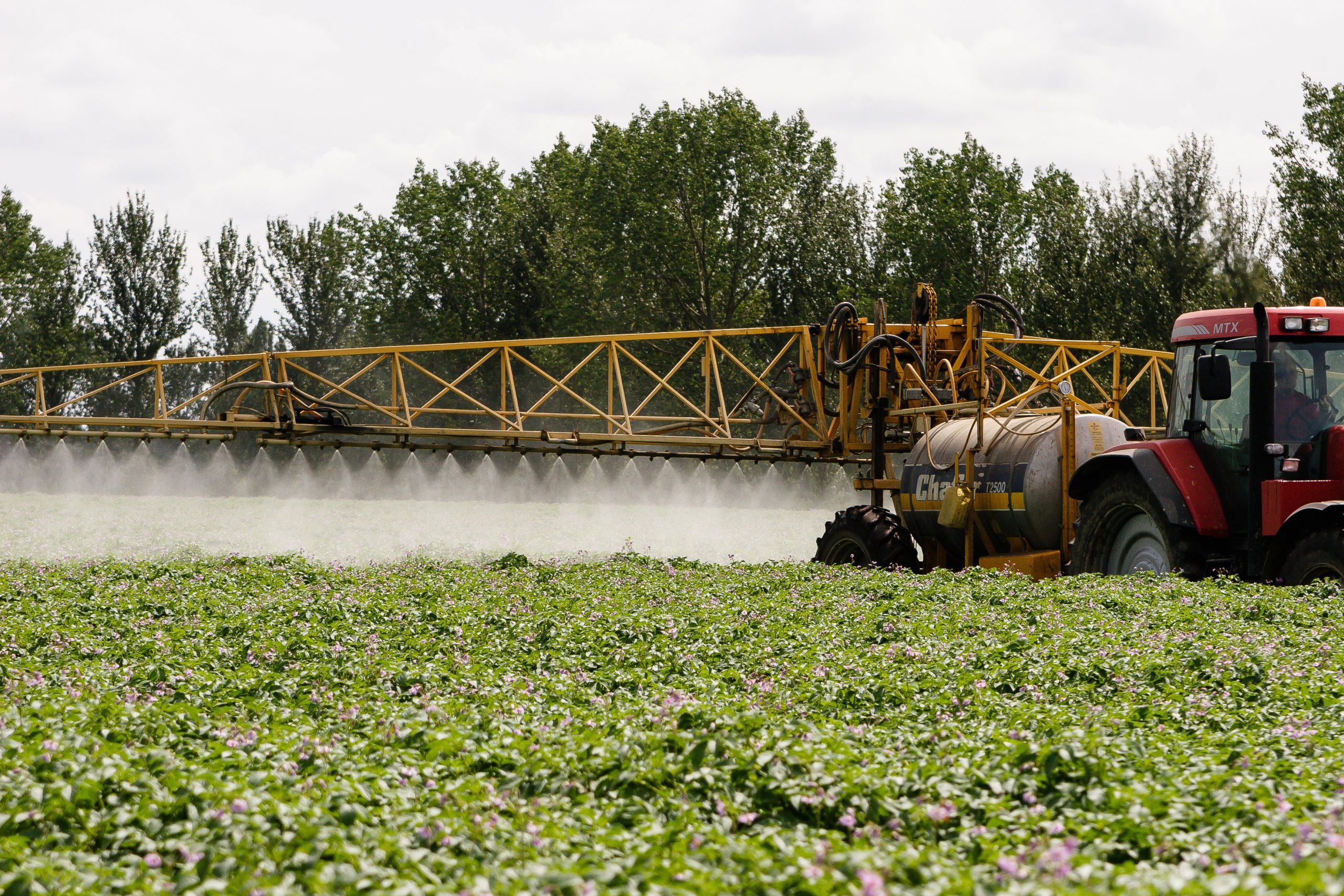 GB Potatoes tritt HCP bei, um die britische Saatkartoffelindustrie zu unterstützen
