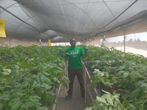 Soilless Technology Reshaping Kenya’s Potato Seed Industry 3 WhatsApp Image 2026 01 28 at 12.11.20 PM