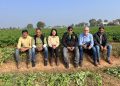 India’s Rising Spud-Star: Cultivating “Green Gold” for the Global Ag-Tech