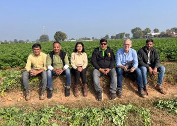 India’s Rising Spud-Star: Cultivating “Green Gold” for the Global Ag-Tech
