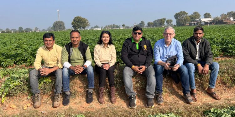 India’s Rising Spud-Star: Cultivating “Green Gold” for the Global Ag-Tech