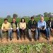 India’s Rising Spud-Star: Cultivating “Green Gold” for the Global Ag-Tech