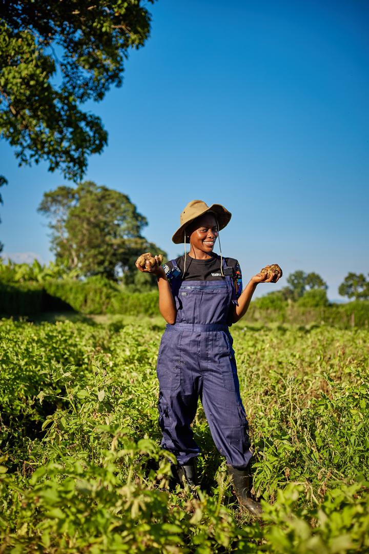 Seeds of Change: How MbeguNzuri Biotech is Revolutionizing Potato Farming in Tanzania 70 Seeds of Change: How MbeguNzuri Biotech is Revolutionizing Potato Farming in Tanzania