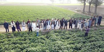 Founder of International Potato Tour to Visit Pakistan: Unlocking Potential in the World’s 9th Largest Producer